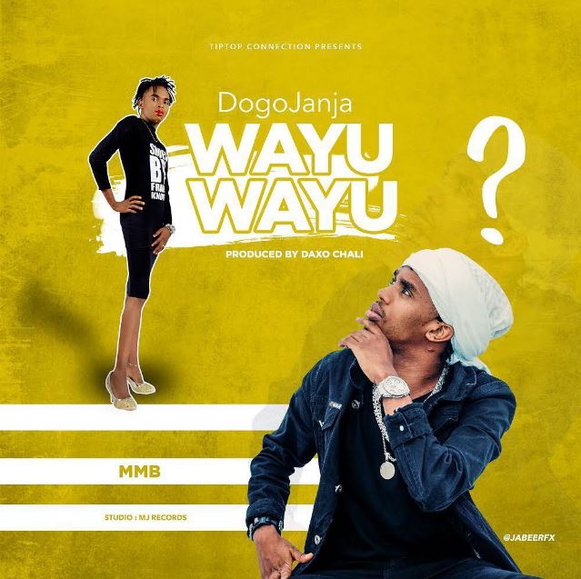 AUDIO Dogo Janja - Wayu Wayu MP3 DOWNLOAD