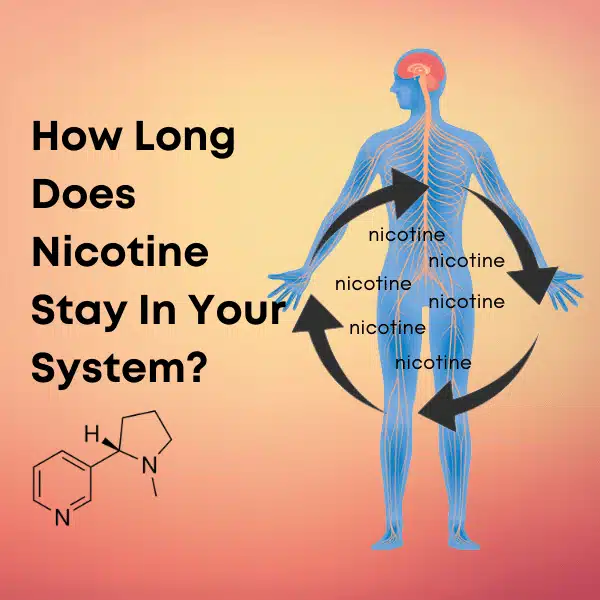 How long does Nicotine stay in your System?