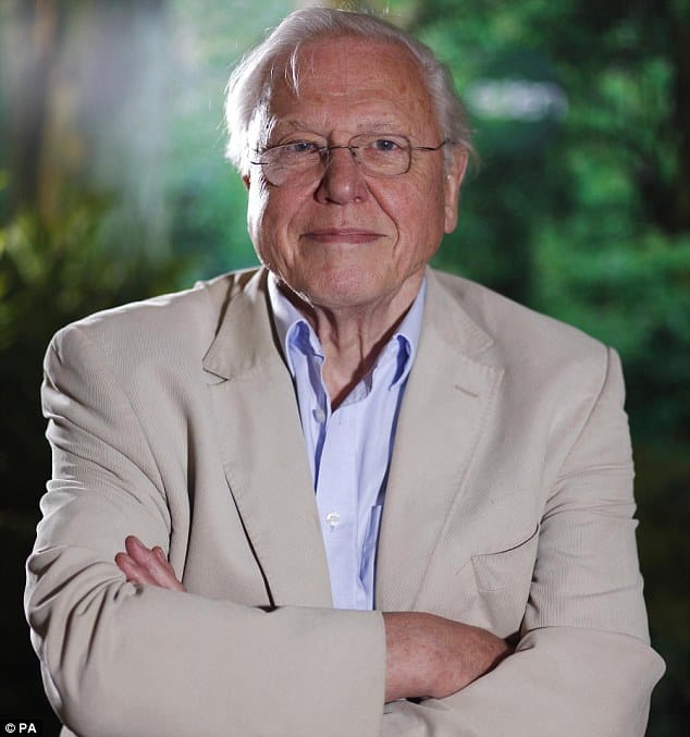 David Attenborough Net Worth: Nature Narrating Fortune