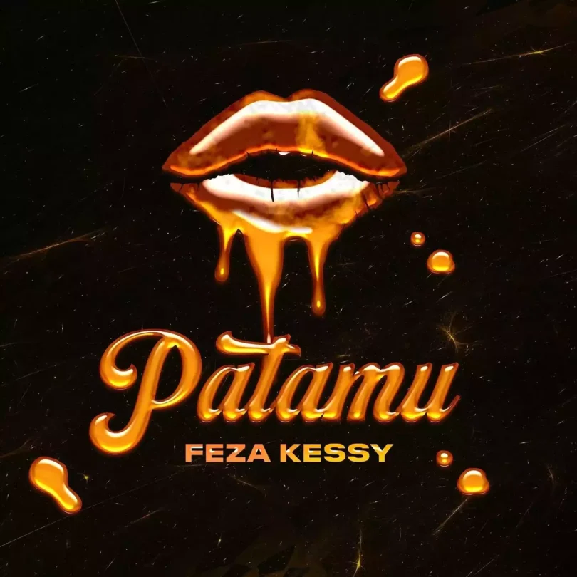 AUDIO Feza Kessy – Patamu MP3 DOWNLOAD