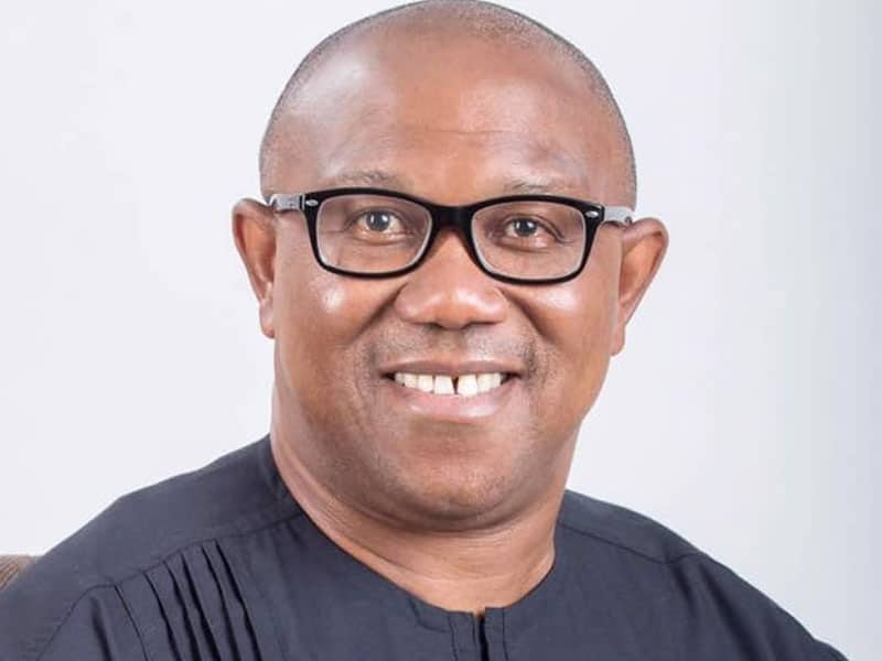 Peter Obi Net Worth