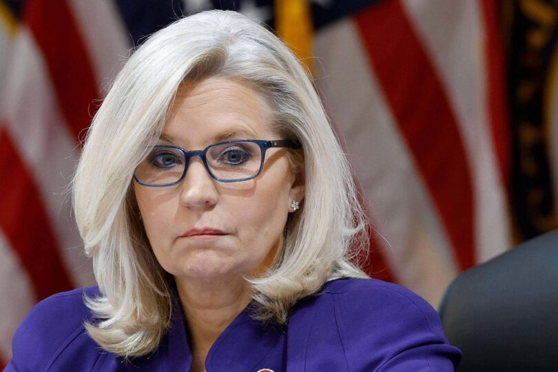 Liz Cheney Net Worth: The Value of a Political Legacy