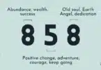 Angel Number 858