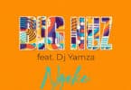 Big Nuz - Ngeke Lyrics