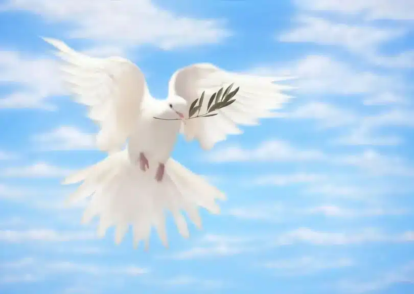 AUDIO Loud Cry Singers - Imika Guwo MP3 DOWNLOAD