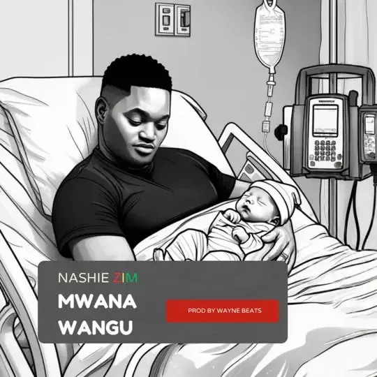 AUDIO Nashie Zim - Ba Mwana MP3 DOWNLOAD