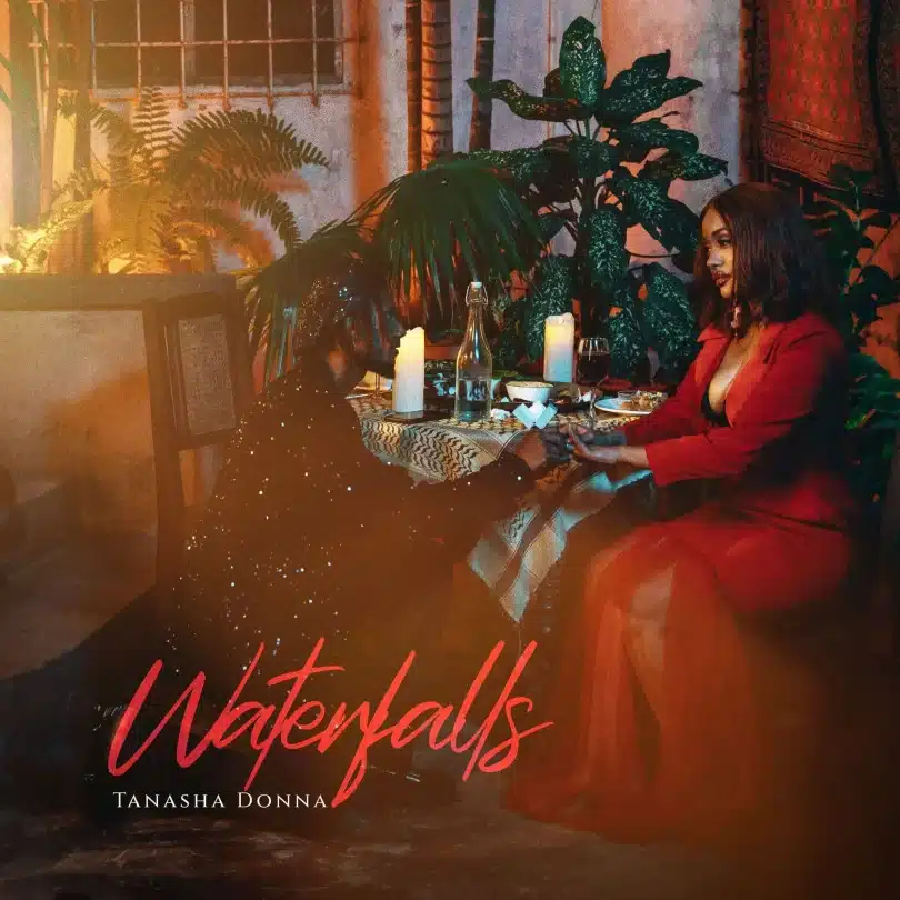AUDIO Tanasha Donna - Waterfalls MP3 DOWNLOAD
