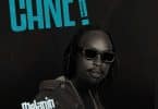 Melanin Boy – Cane MP3 DOWNLOAD