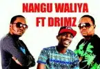 AUDIO D2 Ft Drimz x Caristo Clear - Nangu Waliya MP3 DOWNLOAD