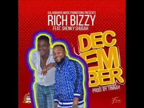 AUDIO Rich Bizzy - December Ft Shenky MP3 DOWNLOAD