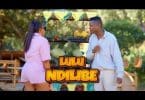 Lulu Ft Mathumela Band - Ndilibe