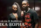 Ntokzin Ft Boibizza - Sika Bopha