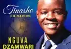 AUDIO Tinashe Chivaviro - Nguva dzaMwari MP3 DOWNLOAD