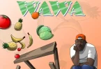 AUDIO Nyasha David - WaWa MP3 DOWNLOAD