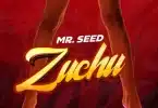 Mr Seed - Zuchu MP3 DOWNLOAD