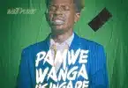 Saintfloew - Pamwe Wanga Usingade MP3 DOWNLOAD