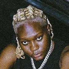 Darkoo Ft Rema - Favourite Girl MP3 DOWNLOAD