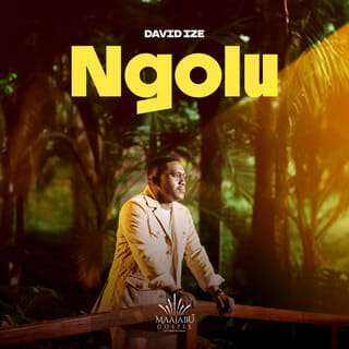 AUDIO David Ize - Ngolu MP3 DOWNLOAD