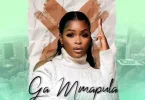 AUDIO Shandesh Music - Ga Mmapula MP3 DOWNLOAD
