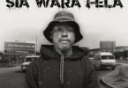 AUDIO Sia TheBee Ft Snokie & BigBaller CEO - Motho Ke Noga MP3 DOWNLOAD